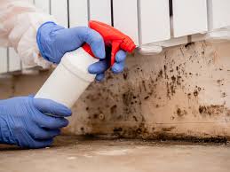 Best Forensic Mold Investigation  in Combe, LA